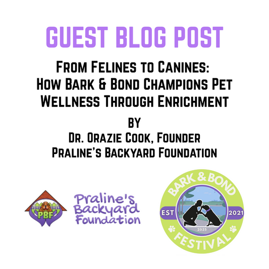 *GUEST BLOG POST* From Felines to Canines: How Bark & Bond Champions Pet Wellness Through Enrichment