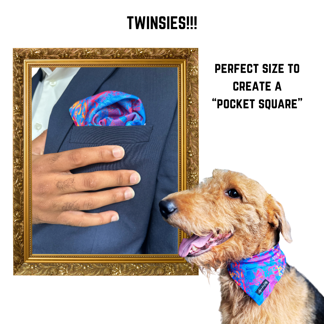 One-Sided Pet Bandanna (Electric Avenue)